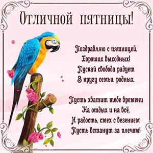 Супер открытка с попугаем и стихотворением на пятницу