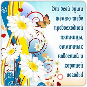 Ромашки и пожелание от всей души превосходной пятницы