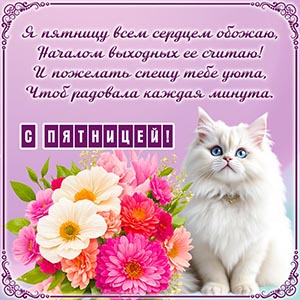 Красивая открытка с кисой и ярким букетом на пятницу