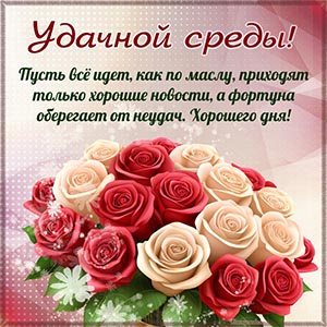 Шикарные розы и пожелание удачной среды на красочном фоне
