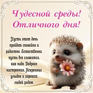 Супер открытка с ёжиком - чудесной среды, отличного дня