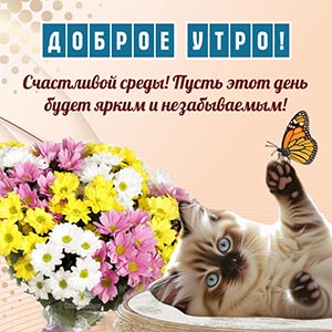 Кот, букет и надпись - доброе утро, счастливой среды