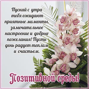 Нежные орхидеи и приятное пожелание позитивной среды