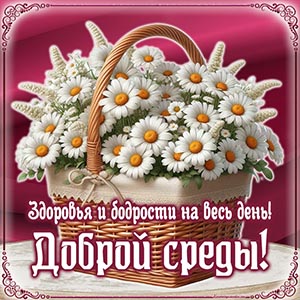 Славная картинка с ромашками в корзине для доброй среды