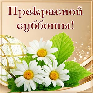 Электронная открытка с ромашками для прекрасной субботы