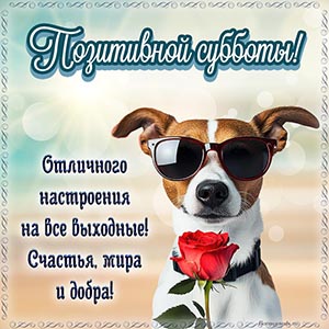 Собака с розой и пожелание позитивной субботы и счастья