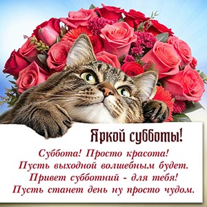 Суббота, просто красота, пусть выходной волшебным будет