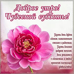Цветочек и пожелание доброго утра, чудесной субботы
