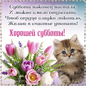 Открытка с тюльпанами и котёнком для хорошей субботы