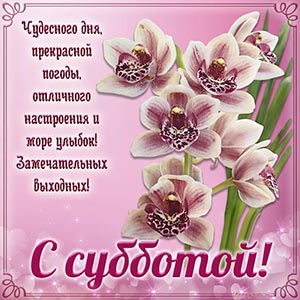 Изумительная картинка с орхидеями в рамочке на субботу