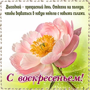 Открытка на воскресенье с красивым цветком в рамочке