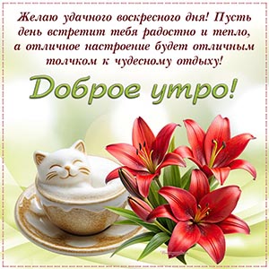 Надпись - доброе утро, желаю удачного воскресного дня