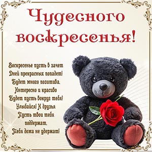 Плюшевый мишка и стихотворение для чудесного воскресенья