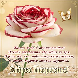 Картинка с розой и бабочкой для доброго воскресенья