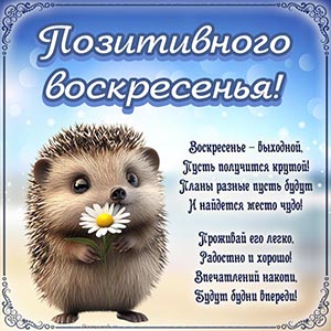 Открытка с ёжиком и стихами для позитивного воскресенья