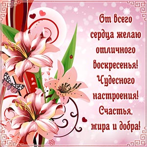 От всего сердца желаю отличного воскресенья, мира, добра
