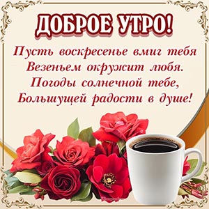 Доброе утро, погоды солнечной, большущей радости в душе