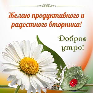 Желаю продуктивного и радостного вторника, доброе утро