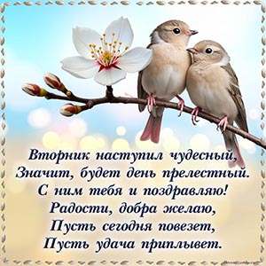 Птички, цветок и чудесное стихотворение на вторник