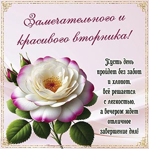 Открытка с цветком - замечательного и красивого вторника