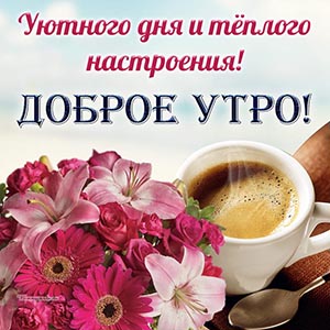 Слова - доброе утро, уютного дня и тёплого настроения