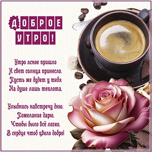 Великолепная открытка доброе утро с нежным цветком