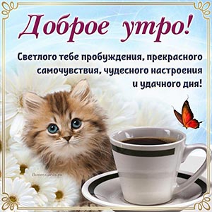 Чарующая картинка доброе утро с милым котом и чашкой