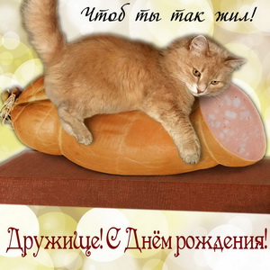 Забавная открытка с котом в обнимку с колбасой