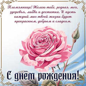 Роза и пожелание племяннице здоровья, любви и достатка