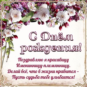 Картинка - поздравляю я красавицу именинницу племянницу