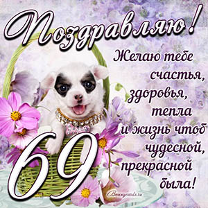 Картинка с собакой в корзинке и пожеланием на 69 лет