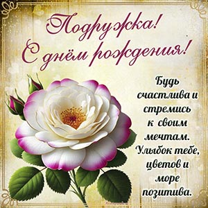 Роскошный цветок и надпись - подружка, с днём рождения