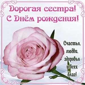 Красивый цветок и текст - дорогая сестра, с днём рождения