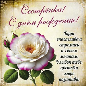 Сестрёнка, будь счастлива и стремись к своим мечтам