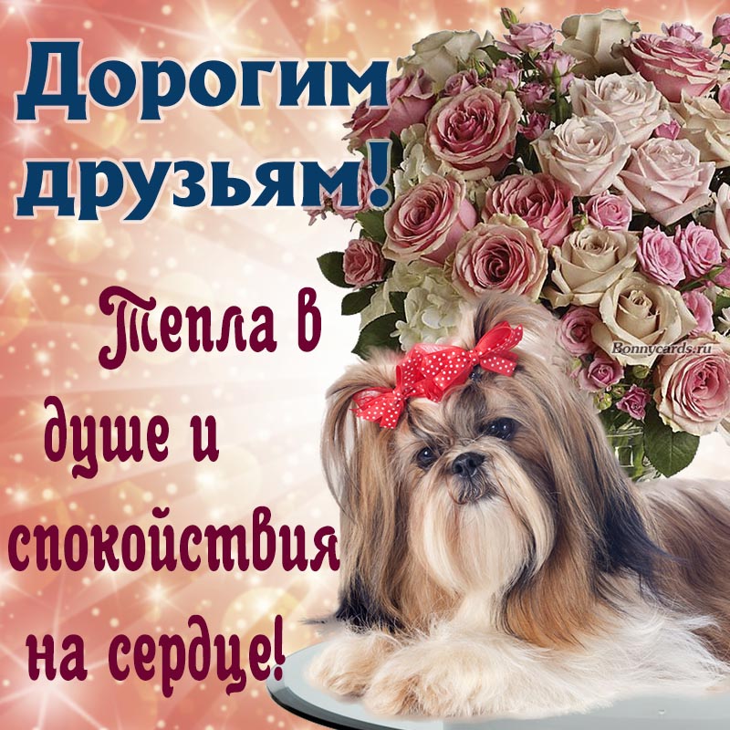 Красивая открытка дорогим друзьям с собакой