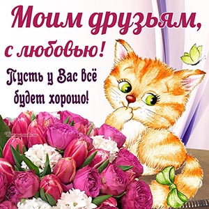 Прикольная открытка для друзей с котом и цветами