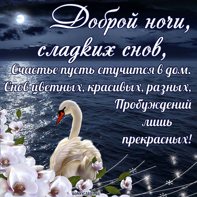Открытка доброй ночи и сладких снов с белым лебедем