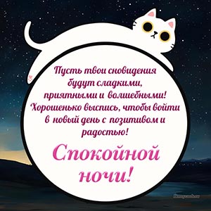 Котик и надпись - спокойной ночи, хорошенько выспись