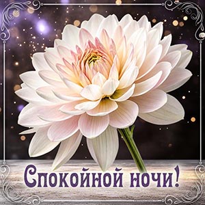 Супер открытка спокойной ночи с красивейшим цветком