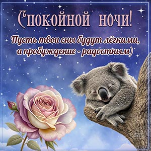 Открытка спокойной ночи с розой и коалой на дереве