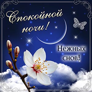 Очаровательное пожелание спокойной ночи, нежных снов
