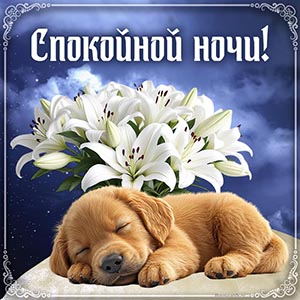 Потрясающая картинка спокойной ночи с щенком и лилиями