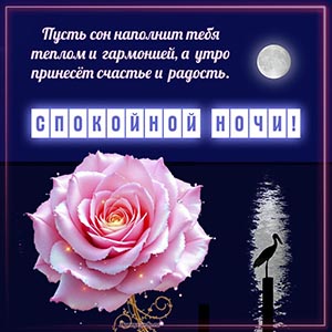 Хорошее пожелание счастья, радости и спокойной ночи