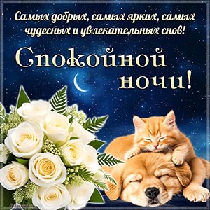 Спокойной ночи, самых чудесных и увлекательных снов