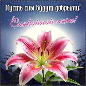 Картинка - пусть сны будут добрыми, спокойной ночи
