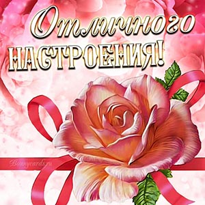 Красивая открытка отличного настроения с розой