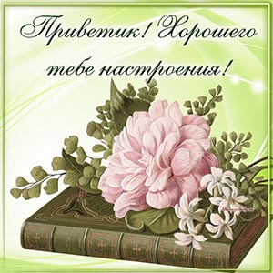 Книга и надпись - приветик, хорошего тебе настроения