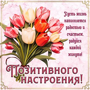 Нежные тюльпаны и пожелание позитивного настроения