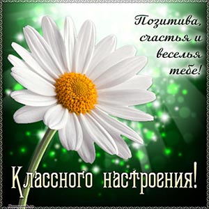 Ромашка и текст - классного настроения, позитива, веселья