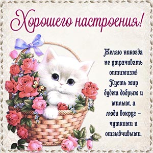 Шикарная открытка с котом в корзине, хорошего настроения